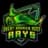 Rays-logo